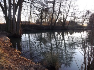 DSCF0129
