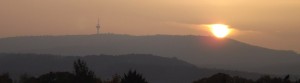 DSCF8194